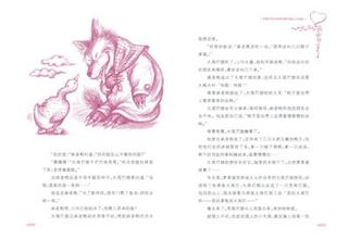 《没有尾巴的狼》读后作文