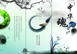 《中華魂》讀后作文